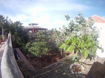 Villa Morgana Cape Verde Resort Calheta 외부 사진